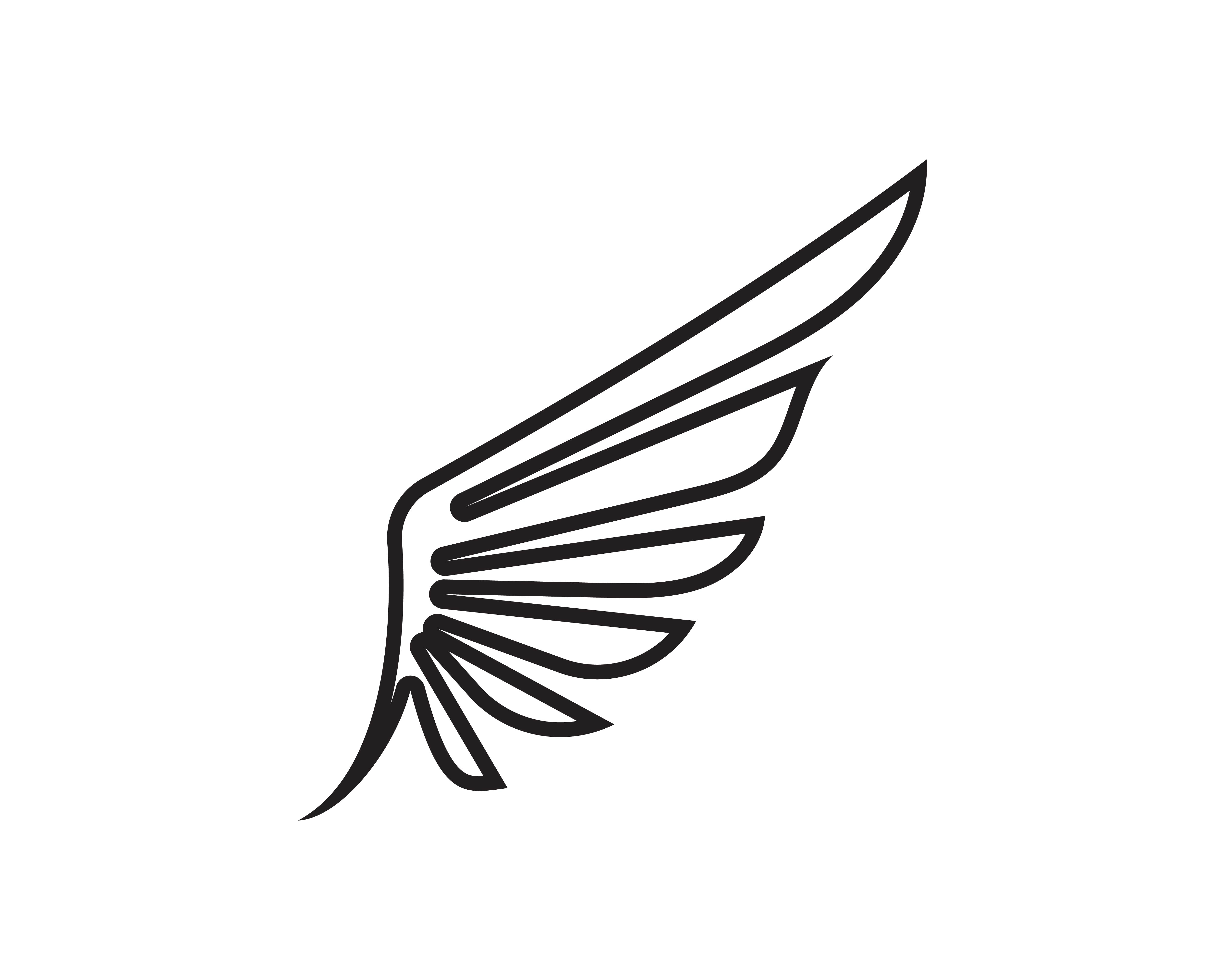 Wing black Logo Template vector illustration design vector 596954
