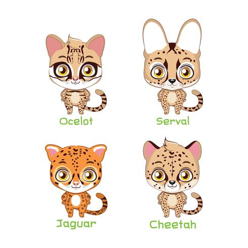 Set of spotted feline species illustrations vector