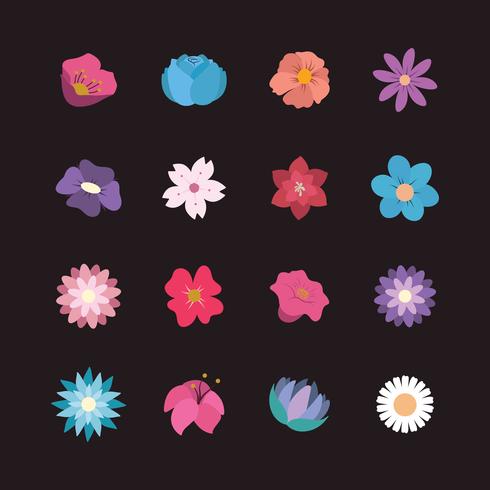 Collection of pretty flowers vector