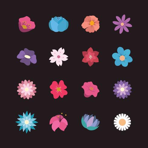 Colección de flores bonitas vector