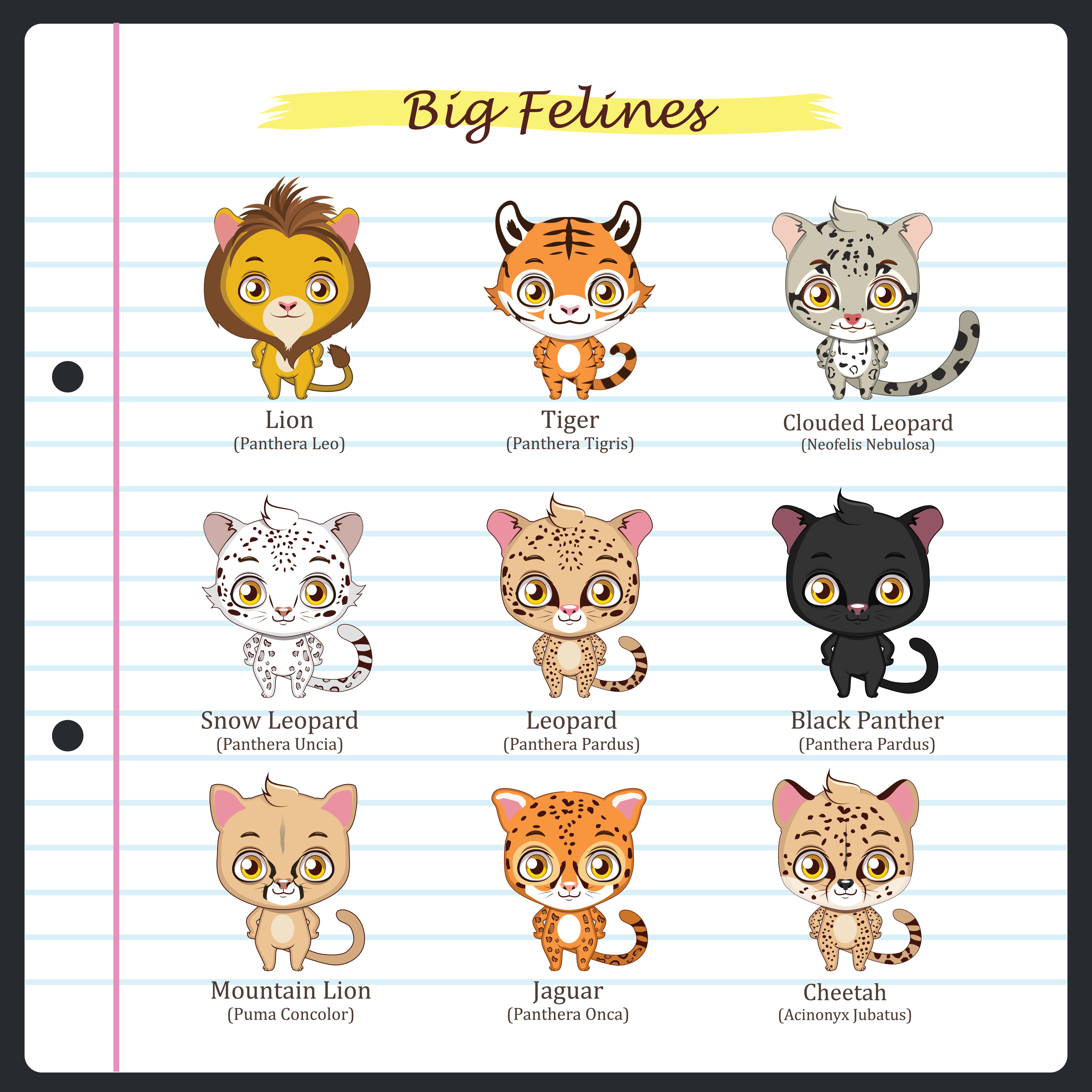 big-feline-illustrations-with-regular-and-scientific-names-599119