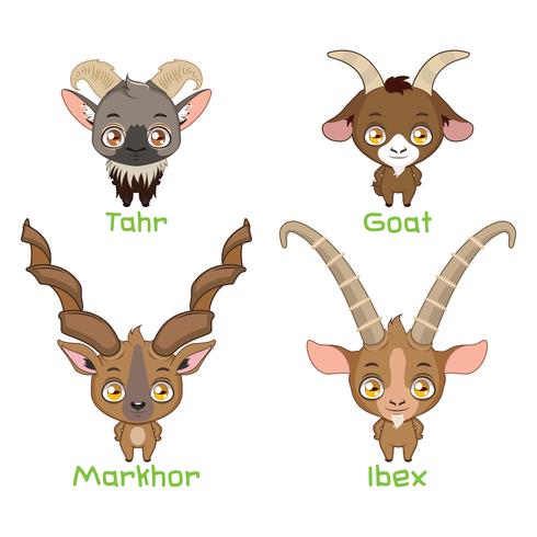 Set of goat species vector