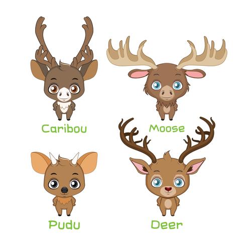 Set of new world deer species vector