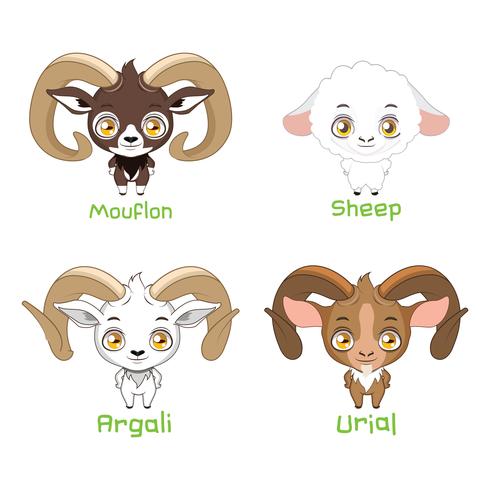 Set of sheep species vector