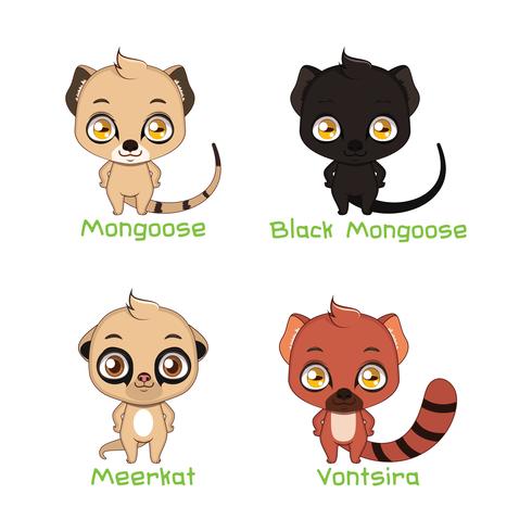 Set of mongoose species illustrations vector