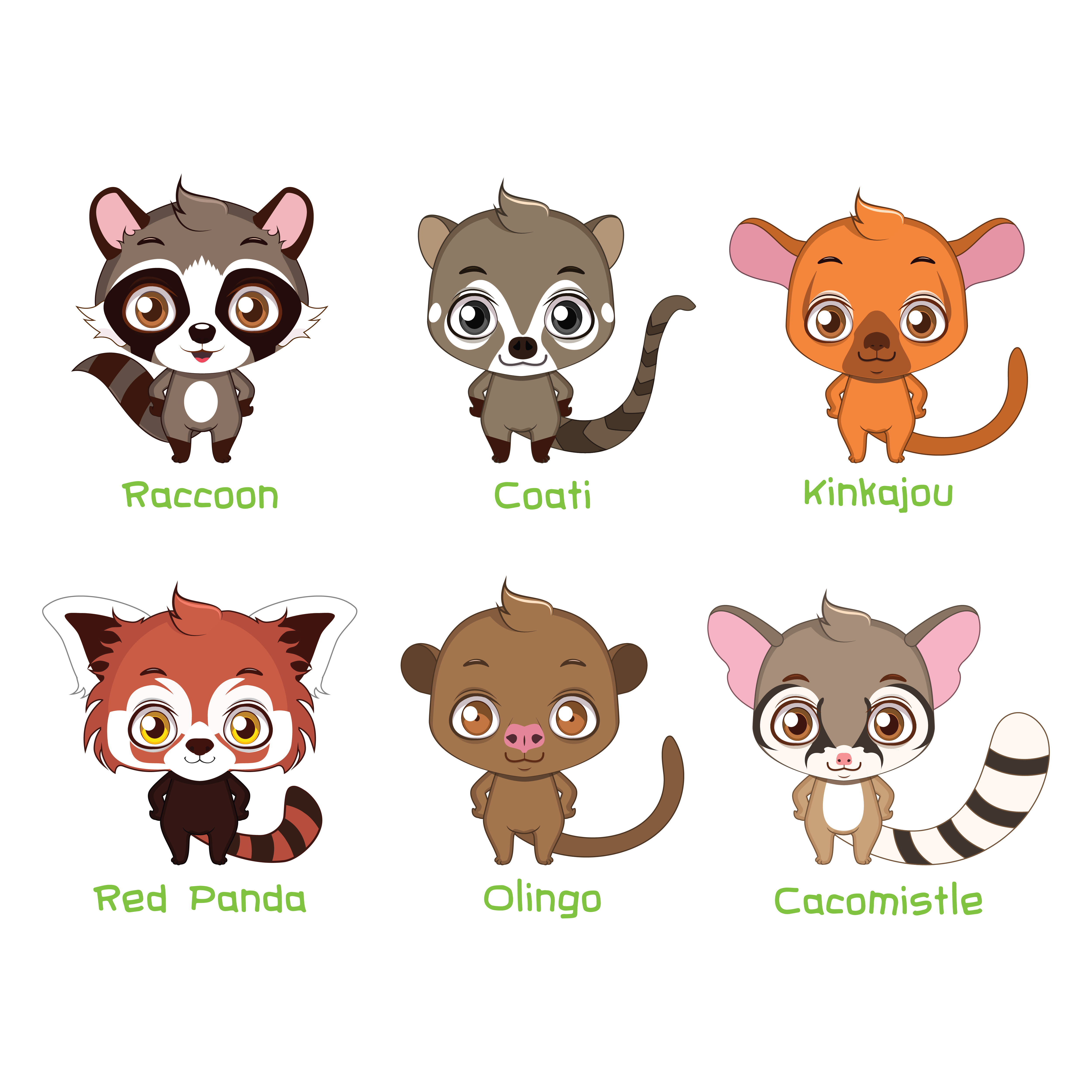 Agnes szigyarto (AGNESSZ) animals many