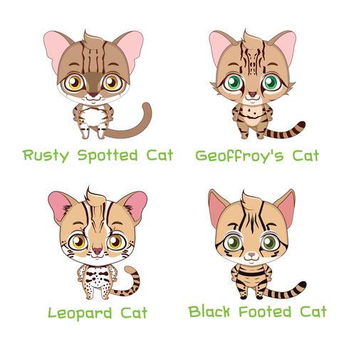 Set of small sized wild cat species vector