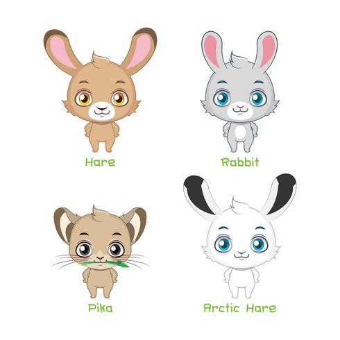 Set of rabbit species vector