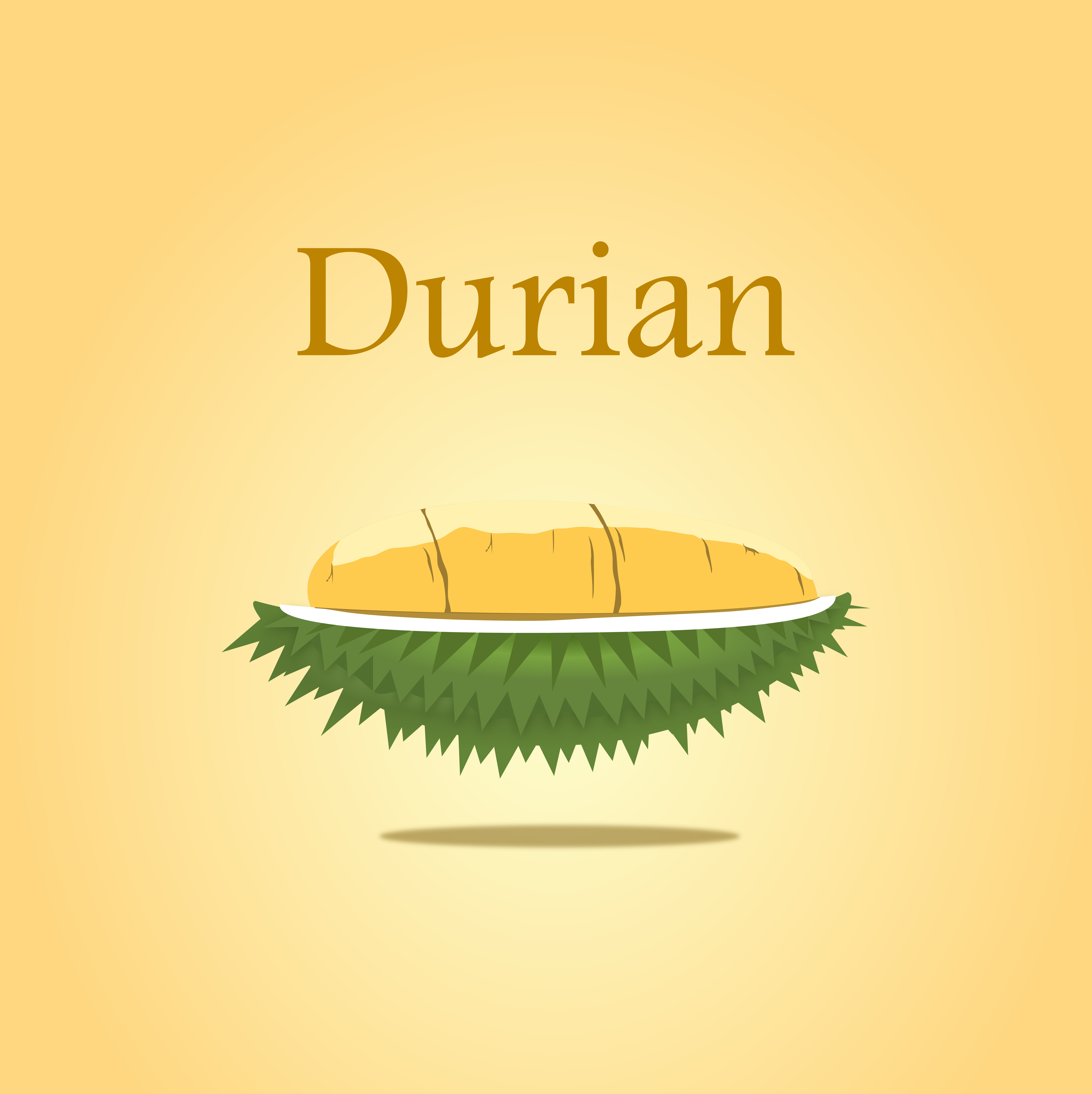 Durian design for poster vector and illustration on isolated yellow