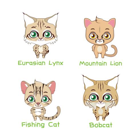 Set of various feline species vector