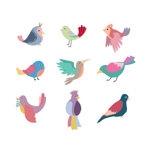 Colección de hermosas aves coloridas estilizadas vector