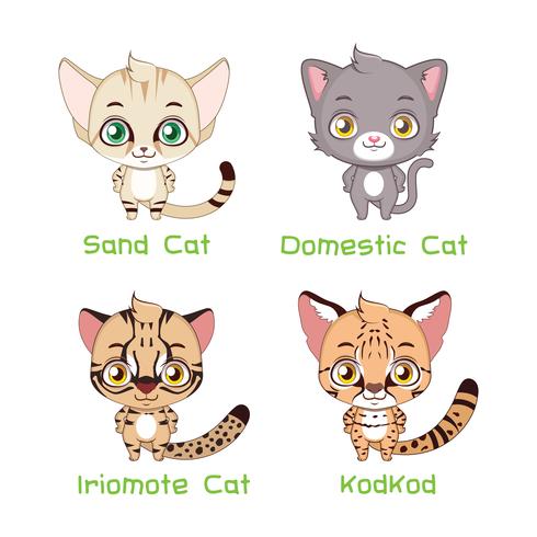 Conjunto de especies de gatos de pequeño tamaño. vector