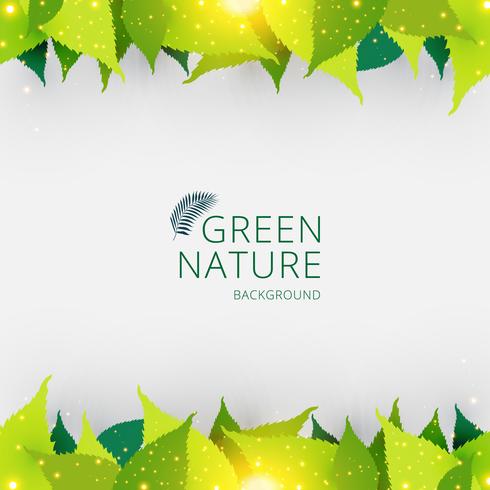 Template header or footer green leaves nature concept background. vector