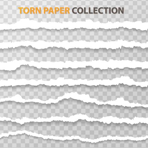 Tear paper or edge On a transparent background. vector