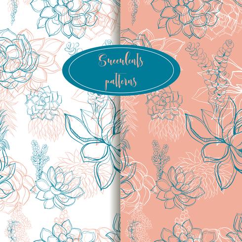 Set of seamless patterns. Succulents. Graphics. Gentle tone. Vector. vector