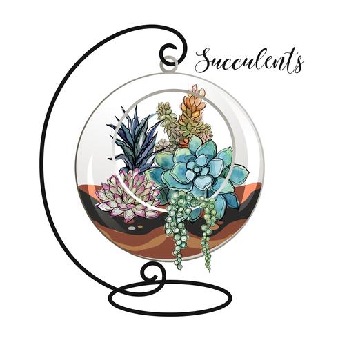 Succulents in a decorative aquarium for flowers. Graphics and watercolor spots. Vector. vector