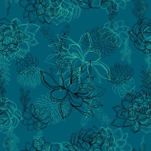Seamless patterns. Succulents. Graphics Vector illustration.