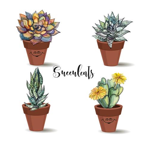 Succulents in clay pots. Set. Graphics with watercolor. Vector. vector