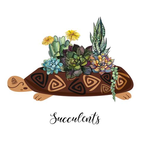 A bouquet of succulents in a flower pot in the form of a turtle. Graphics and watercolor spots. Vector