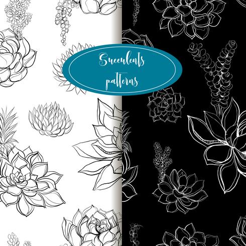 Set of seamless patterns. Succulents. Graphics. Gentle tone. Vector. vector