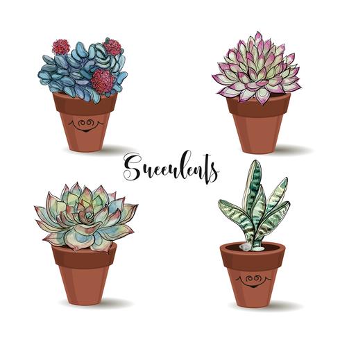 Succulents in clay pots. Set. Graphics with watercolor. Vector. vector