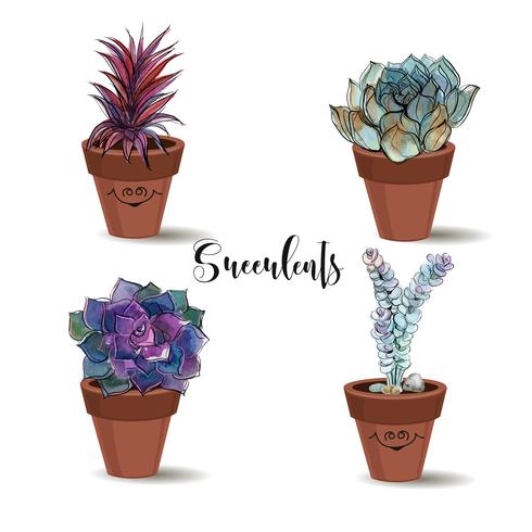 Succulents in clay pots. Set. Graphics with watercolor. Vector. vector