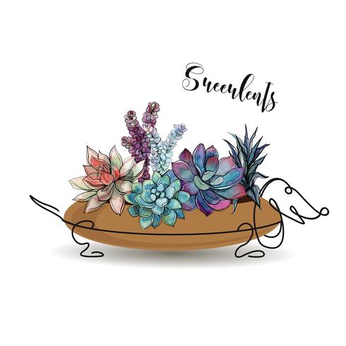 Succulents. Composition of flowers in a flower pot in the form of a dog Dachshund. Graphics. Watercolor. Vector. vector