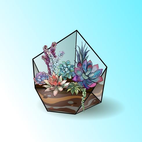 Flower arrangement of succulents in a geometric glass aquarium. Vector