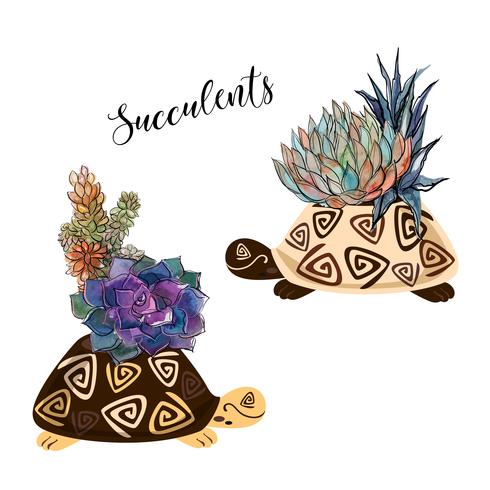 A bouquet of succulents in a flower pot in the form of a turtle. Graphics and watercolor spots. Vector. vector