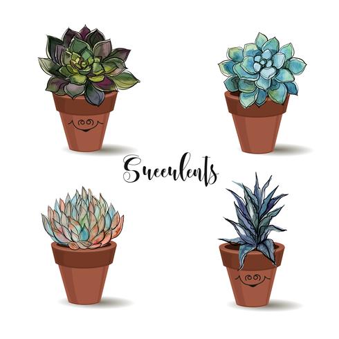 Succulents in clay pots. Set. Graphics with watercolor. Vector. vector