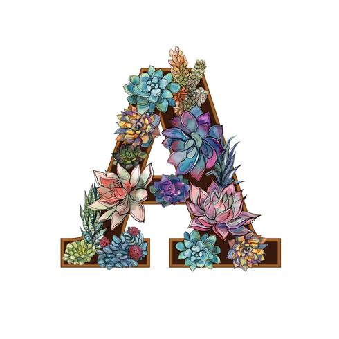 Letter A. Succulents. Alphabet Watercolor Graphics Vector