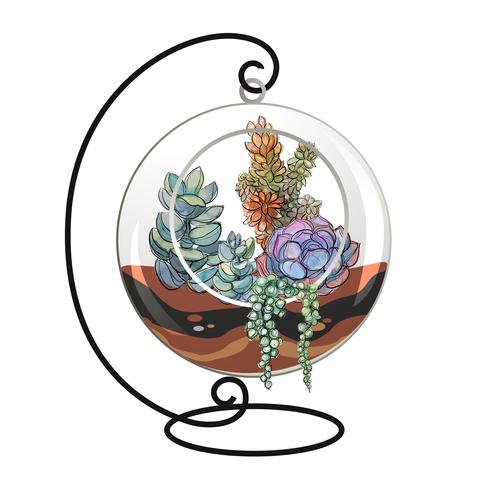 Succulents in a decorative aquarium for flowers. Graphics and watercolor spots. Vector. vector