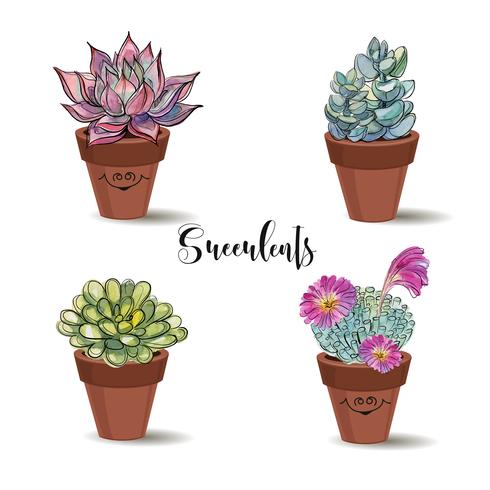 Succulents in clay pots. Set. Graphics with watercolor. Vector. vector