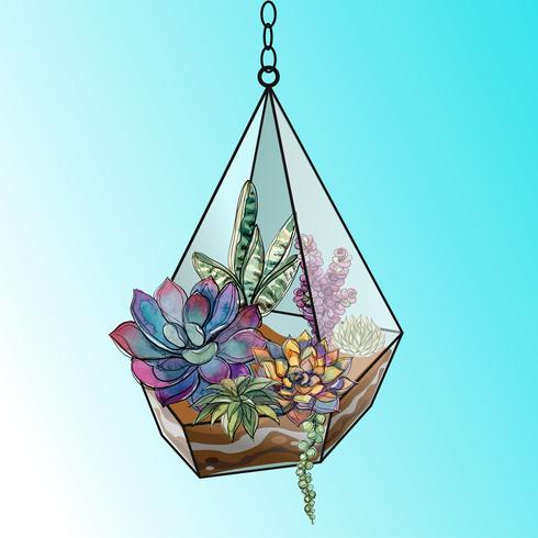 Flower arrangement of succulents in a geometric glass aquarium. Vector