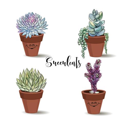 Succulents in clay pots. Set. Graphics with watercolor. Vector. vector