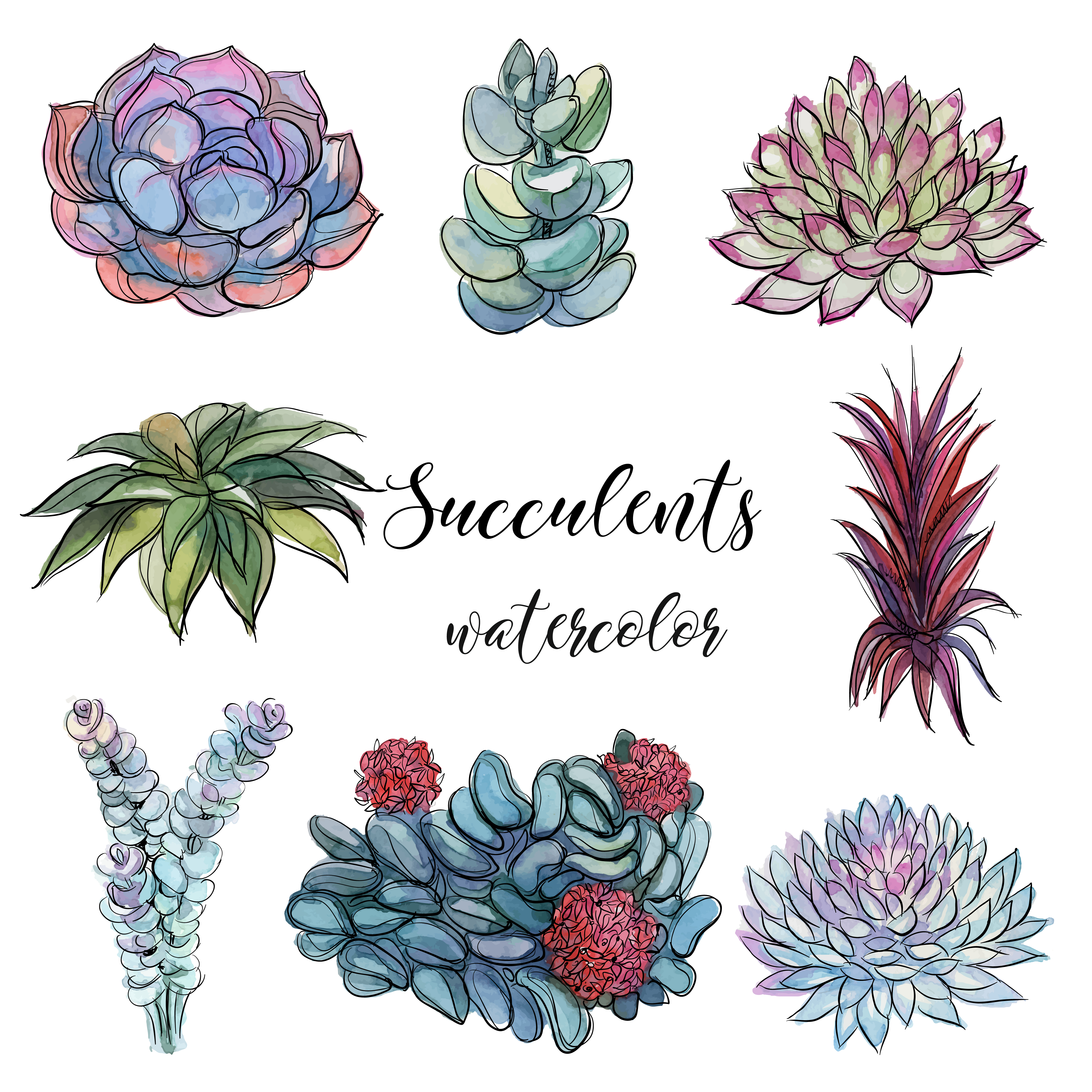 Set of succulents. Watercolor. Graphics.Isolated objects. Vector Set of succulents. Watercolor. Graphics.Isolated objects. Vector
