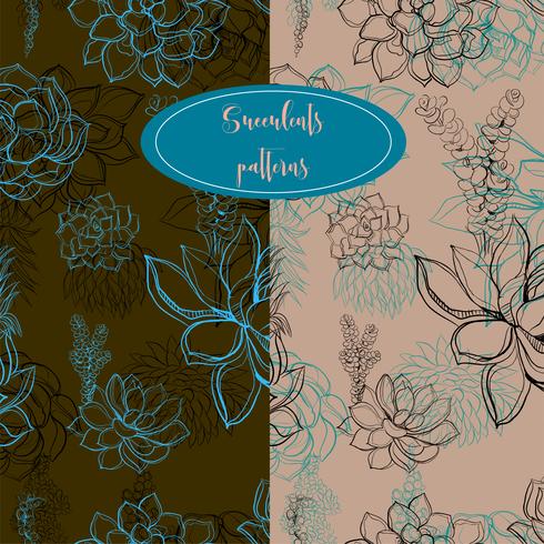 Set of seamless patterns. Succulents. Graphics. Vector. vector