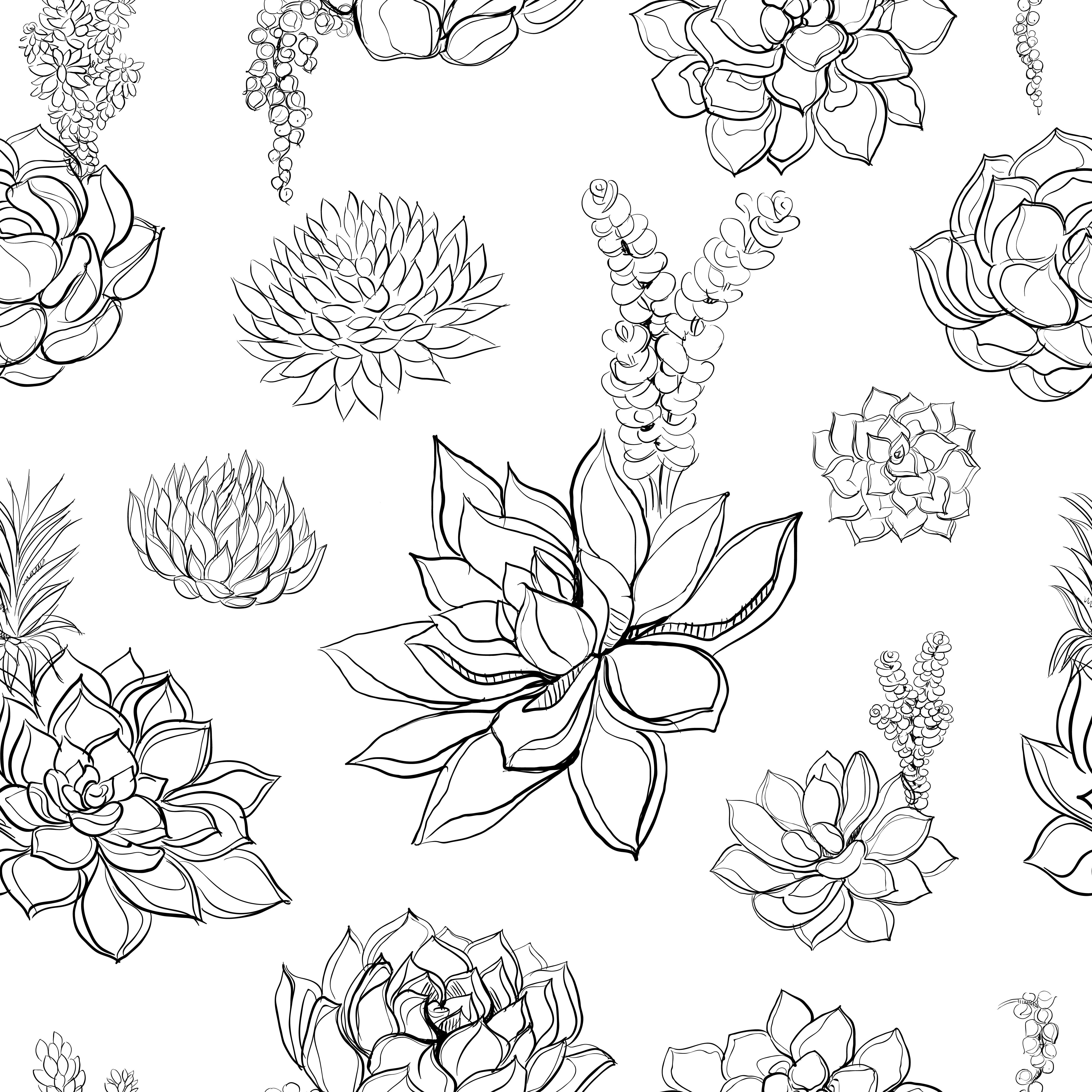 Succulents. Seamless pattern. Graphics. Coloring. Vector illustration