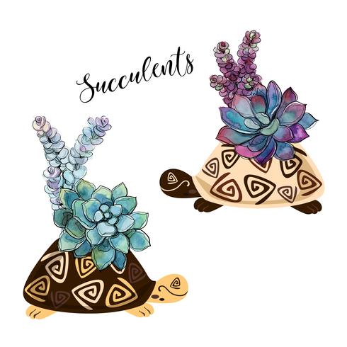 A bouquet of succulents in a flower pot in the form of a turtle. Graphics and watercolor spots. Vector. vector