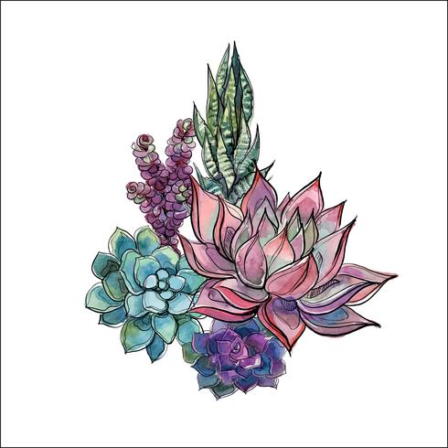 Bouquet of succulents. Flower arrangement for design. Watercolor. Graphics. Vector. vector