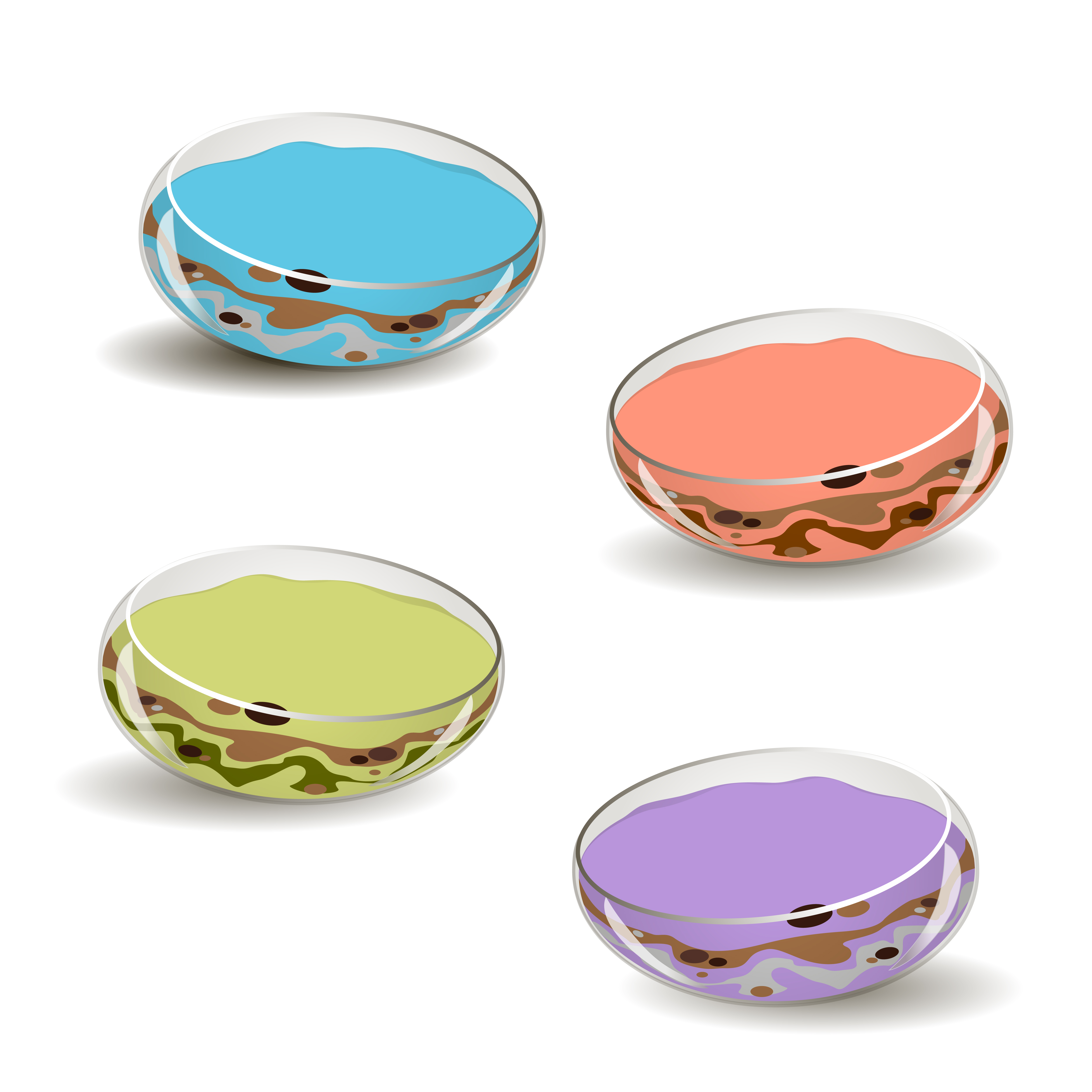 pots for succulents glass terrarium for flowers oval aquarium with colored sand vector 600788 vector art at vecteezy