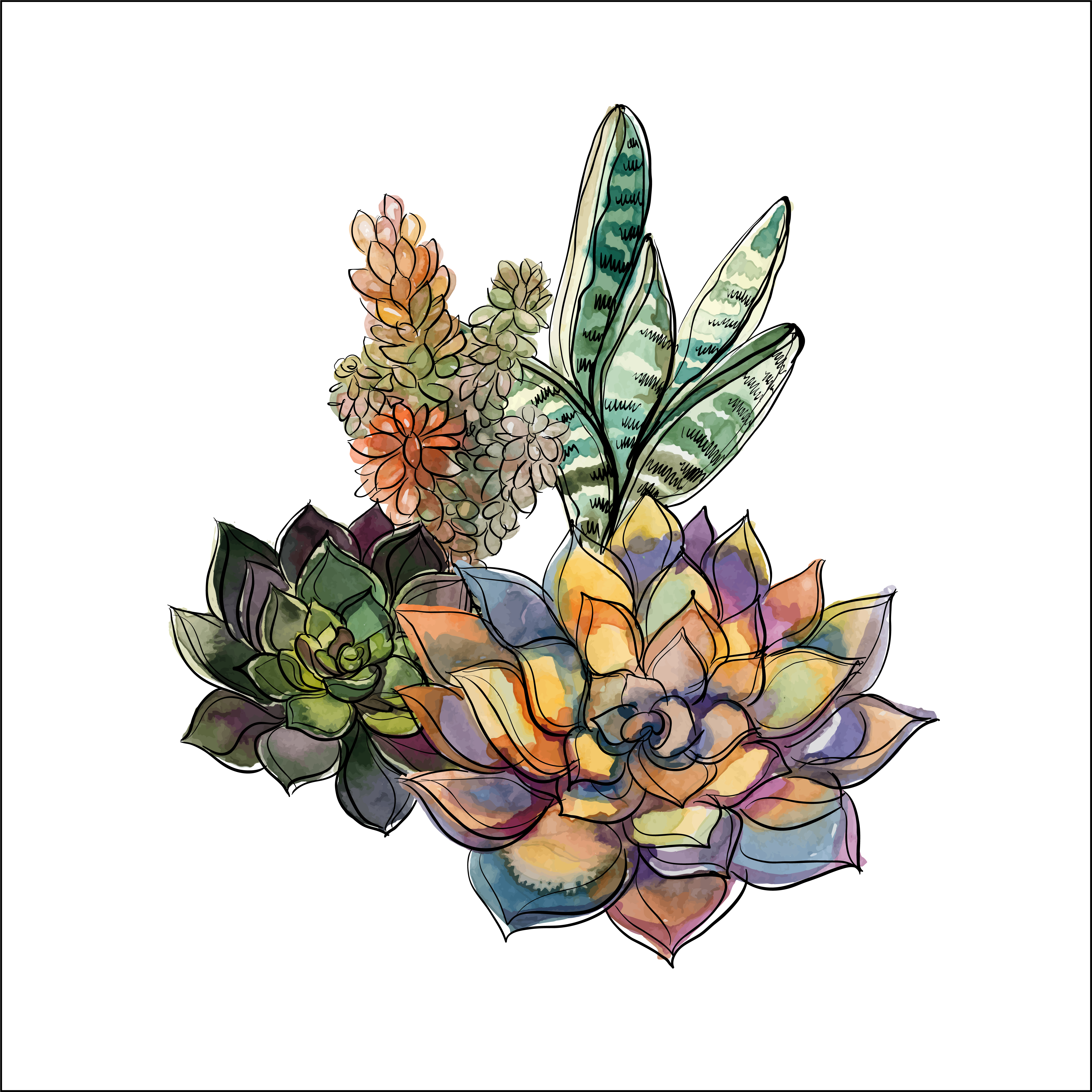 Download Bouquet of succulents. Flower arrangement for design ...