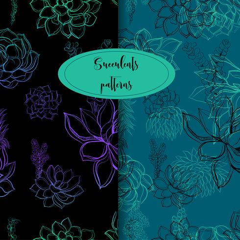 Set of seamless patterns. Succulents. Graphics Vector illustration.