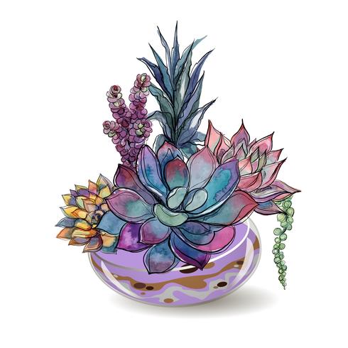 Succulents in glass aquariums. Colored sand. Flower decorative compositions. Graphics. Watercolor. Vector. vector