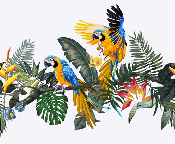 pájaro guacamayo en exótico bosque de patrones sin fisuras vector