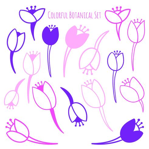 Vector hand drawn botanical elements