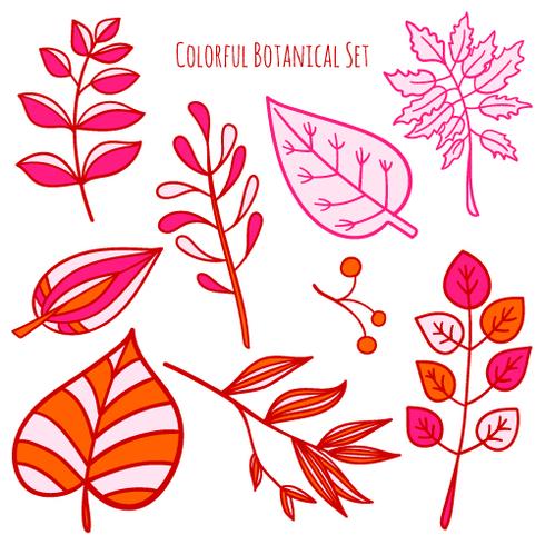 Vector hand drawn botanical elements