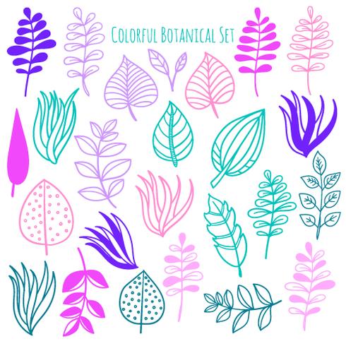 Vector hand drawn botanical elements