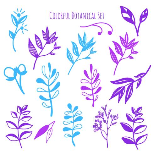 Vector hand drawn botanical elements