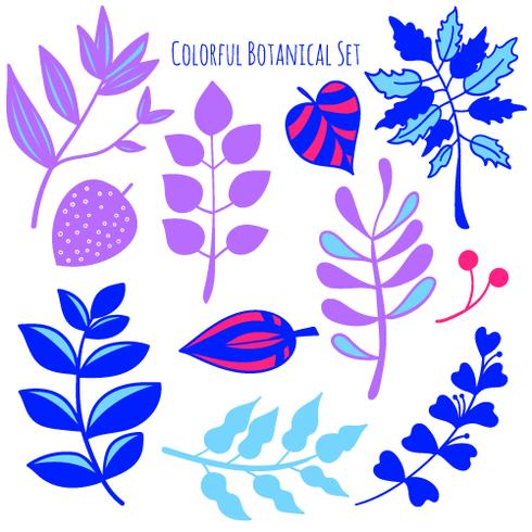 Vector hand drawn botanical elements